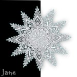 Doily 1