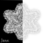 Doily 7