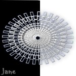 Doily 8